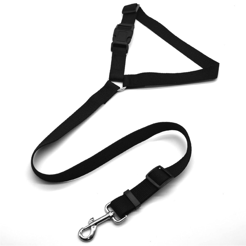 Pet car harness